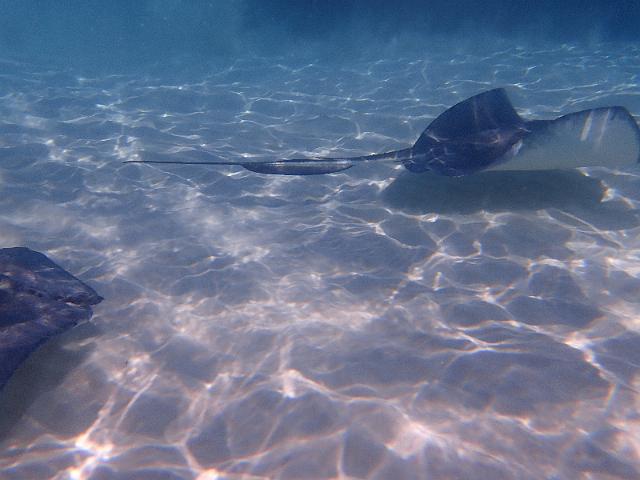 FILE00412.jpg