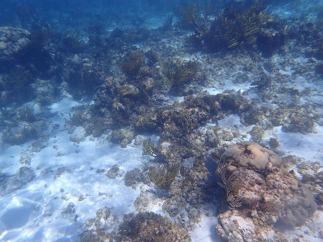 FILE00428.jpg