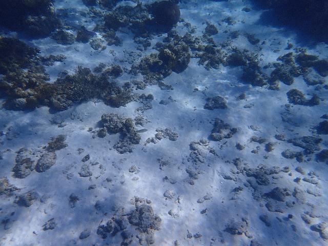 FILE00431.jpg