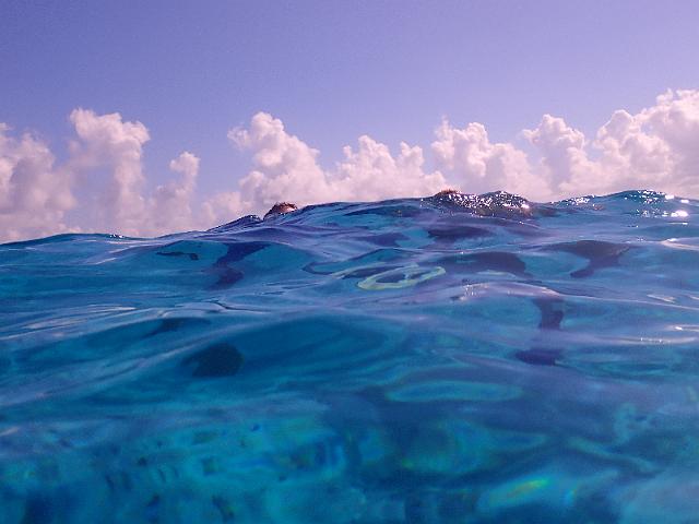 FILE00443.jpg