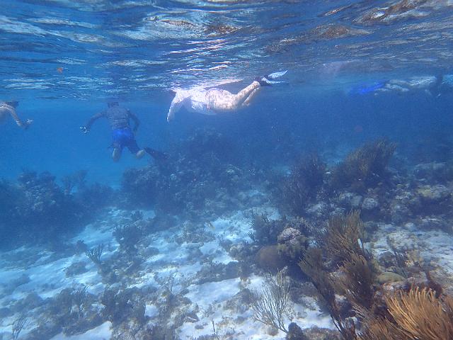 FILE00458.jpg