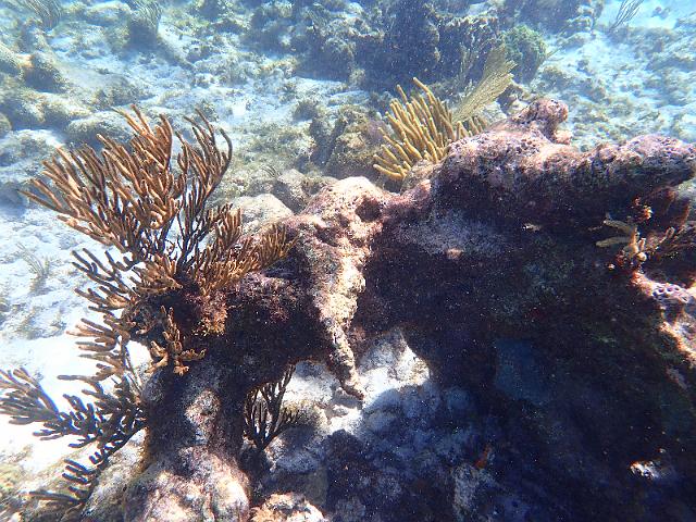 FILE00469.jpg