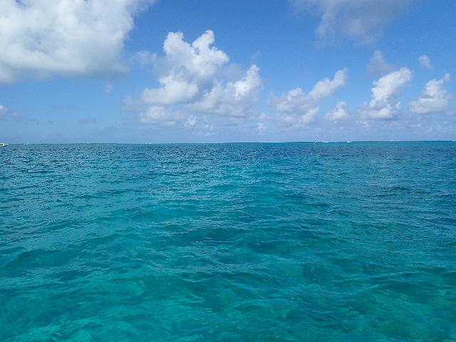 FILE00479.jpg
