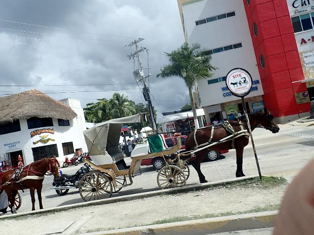FILE00594.jpg