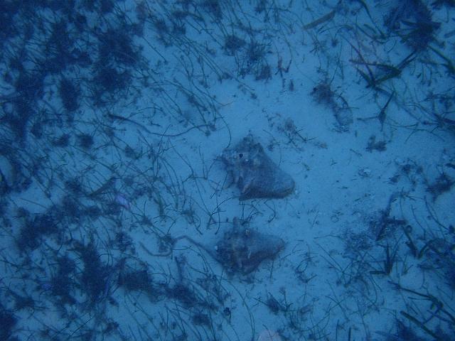 FILE00645.jpg