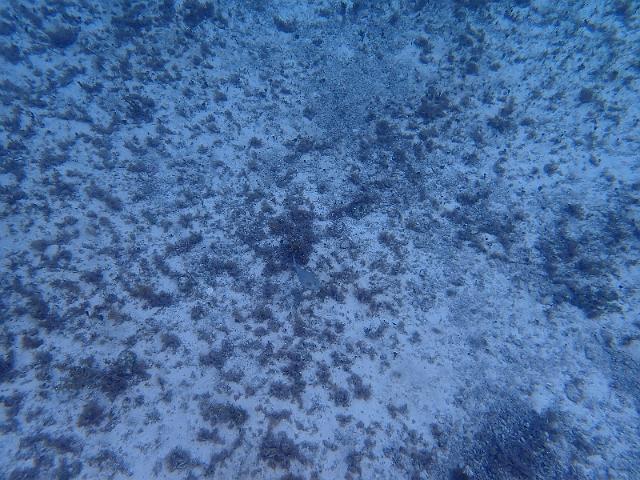FILE00648.jpg