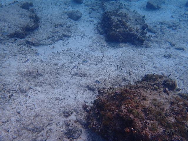 FILE00658.jpg