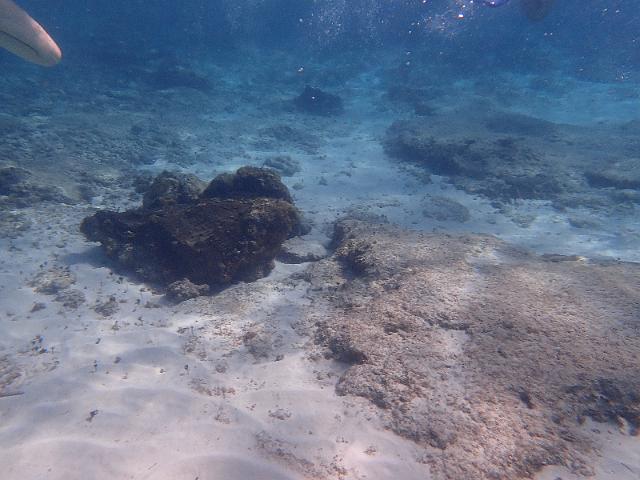 FILE00666.jpg