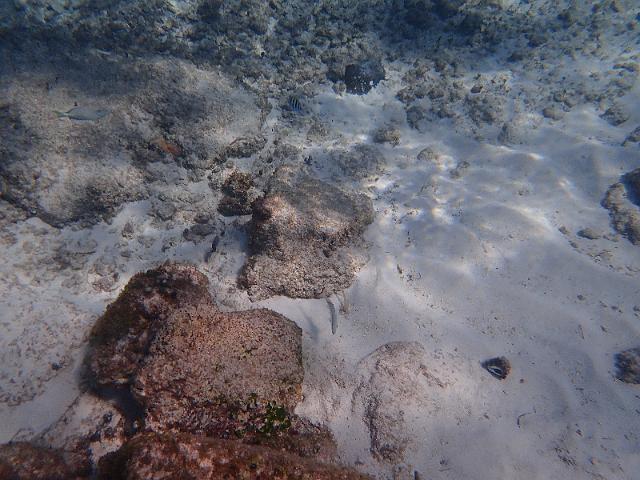FILE00669.jpg