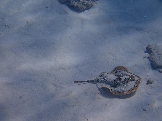 FILE00673.jpg
