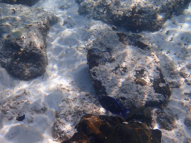 FILE00676.jpg