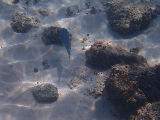 FILE00683.jpg