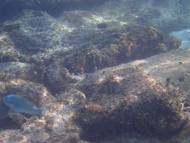 FILE00684.jpg