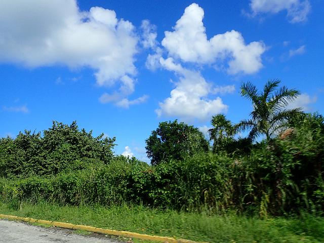 FILE00709.jpg