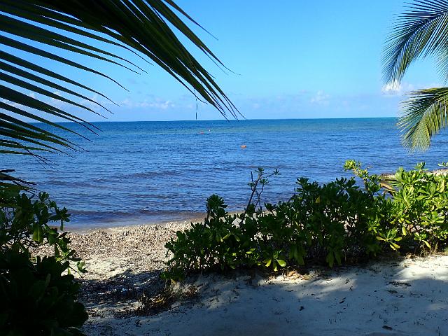 FILE00739.jpg