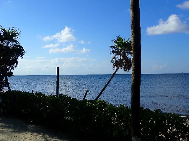 FILE00745.jpg