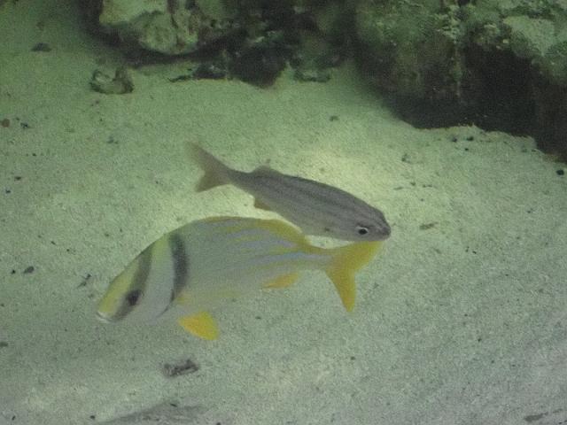 FILE00942.jpg
