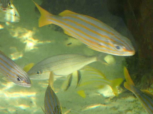 FILE00943.jpg