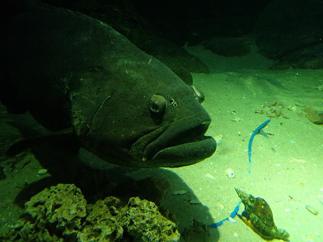 FILE00982.jpg