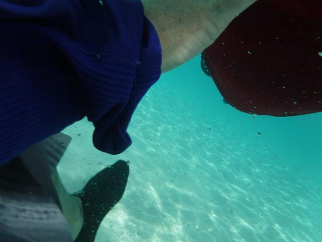 DSCF2013.JPG
