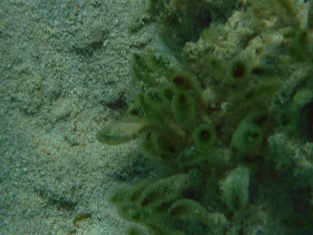 DSCF2021.JPG