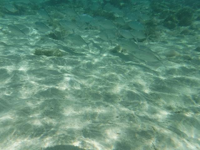 DSCF2026.JPG