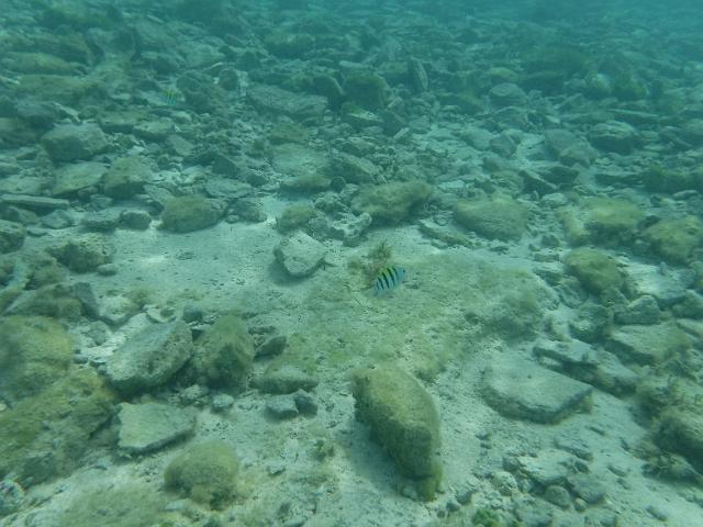 DSCF2033.JPG