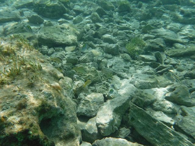 DSCF2034.JPG
