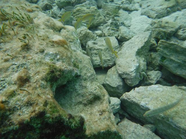 DSCF2035.JPG