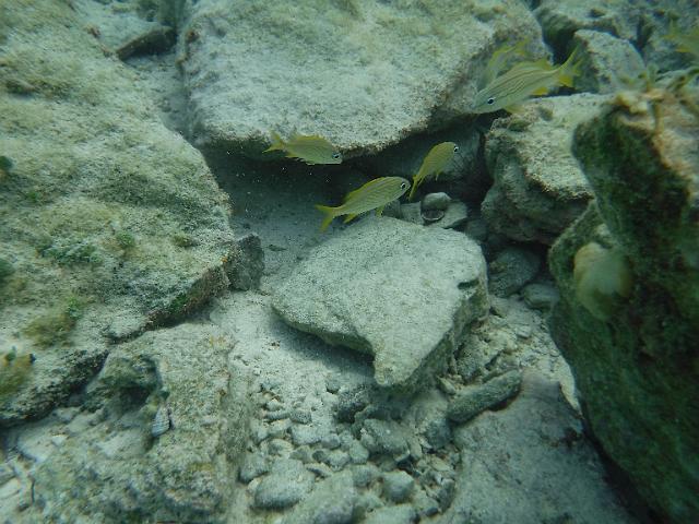 DSCF2037.JPG