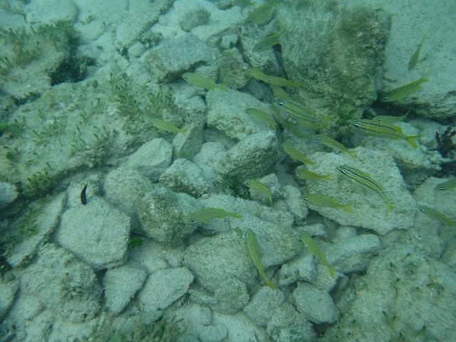 DSCF2038.JPG