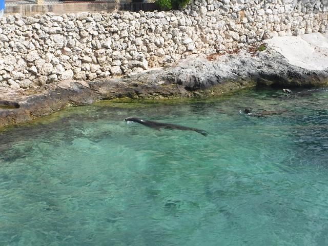 DSCF2058.JPG