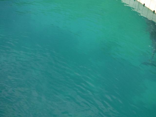 DSCF2060.JPG