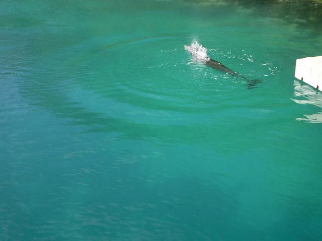 DSCF2061.JPG
