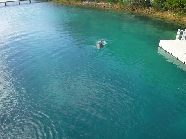 DSCF2063.JPG