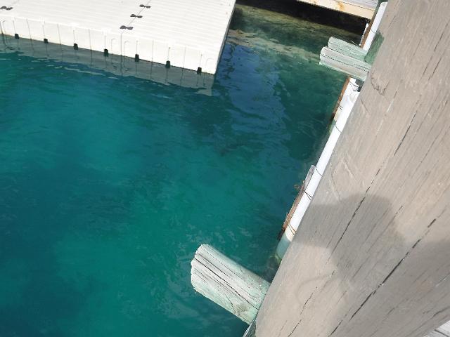DSCF2065.JPG