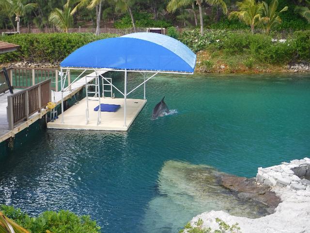 DSCF2067.JPG