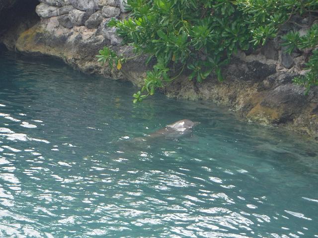 DSCF2071.JPG