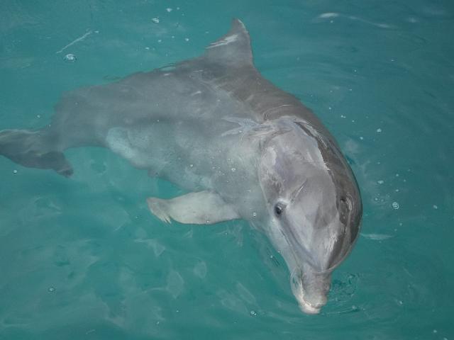 DSCF2074.JPG