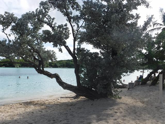 DSCF2081.JPG