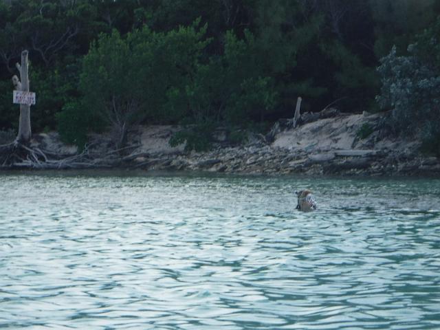 DSCF2082.JPG