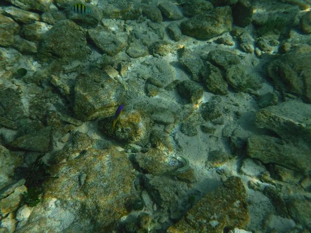 DSCF2084.JPG