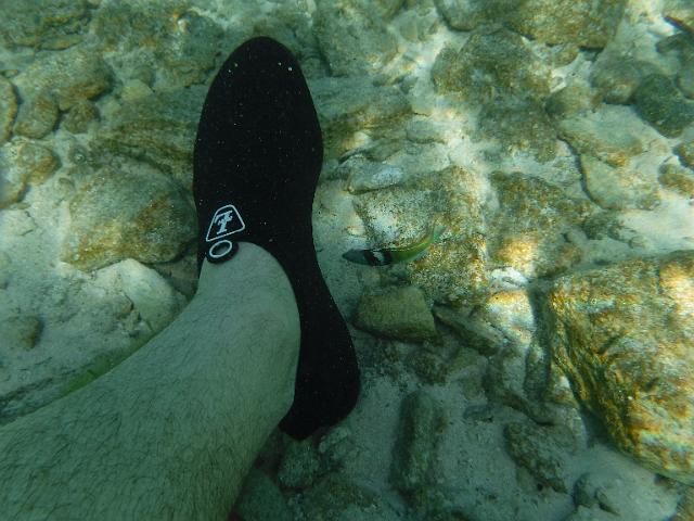 DSCF2088.JPG