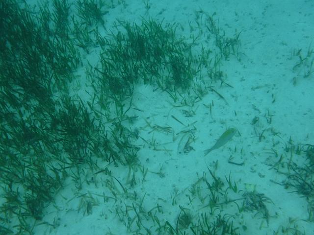 DSCF2129.JPG