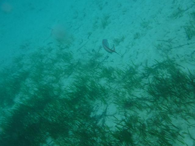 DSCF2131.JPG