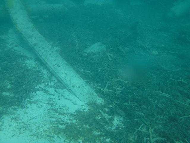 DSCF2134.JPG