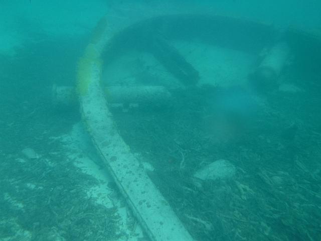 DSCF2135.JPG