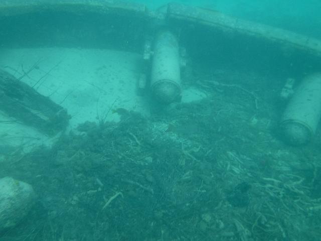 DSCF2136.JPG