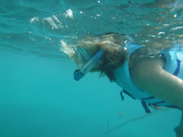 DSCF2137.JPG