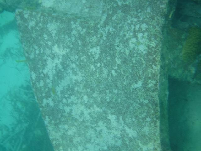 DSCF2140.JPG